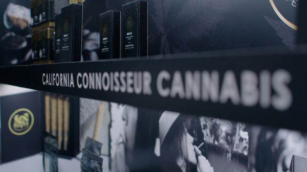 The Maven Store by null