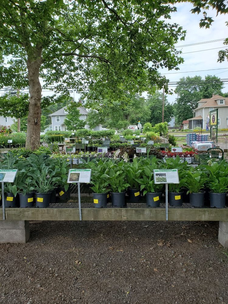 GARDEN’S DREAM Nurseries & Gardening 610 Main St, Cromwell, CT