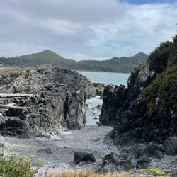 Pettinger Point Trail