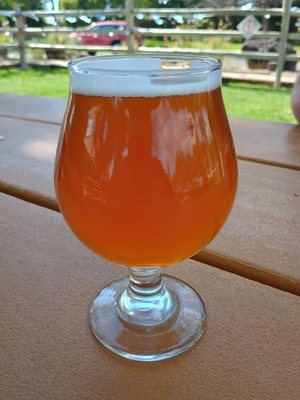 Bathtub Row Brewing Co-op by null