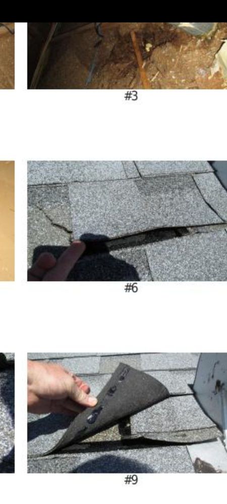 Slide of Citrus Contracting