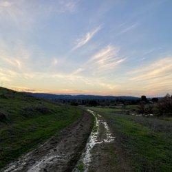 Muddy on New Year's day