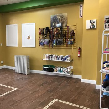 Your Pet's Paradise - Beautiful - Pet Groomers Near Me - Yonkers, New York