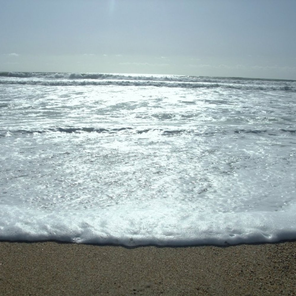 Bonny Doon Beach - Beaches Near Me - Santa Cruz, California