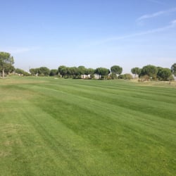 Golf Olivar de la Hinojosa - Hoyo del campo corto