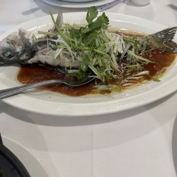 Beijing Duck Seafood Restaurant - Striped sea bass - Seafood Near Me - Philadelphia, Pennsylvania