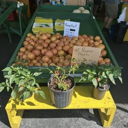 R & R Fruit Stand - Grapefruit