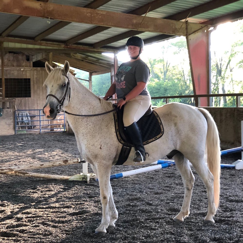 Fox Run Farm - Lesson horse Casper! Getting me back into jumping! - Horseback Riding Near Me - Cadiz, Kentucky