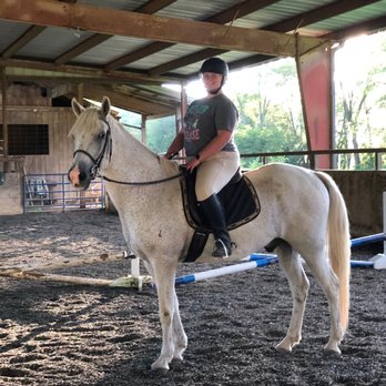 Fox Run Farm - Lesson horse Casper! Getting me back into jumping! - Horseback Riding Near Me - Cadiz, Kentucky Fox Run Farm - Lesson horse Casper! Getting me back into jumping! - Horseback Riding Near Me - Cadiz, Kentucky