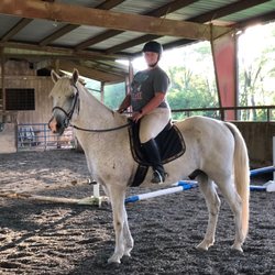 Fox Run Farm - Lesson horse Casper! Getting me back into jumping!