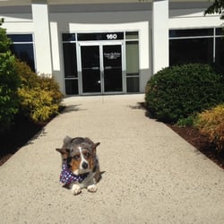 Anne E Holliday, CPA - Office located on Pease Tradeport. Uno, our official greeter, will be looking forward to meeting you!