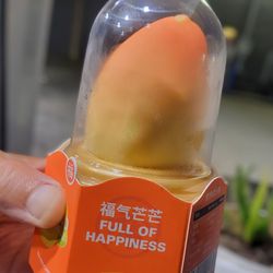 Alameda Valero - Cute Japanese ice cream