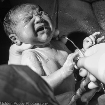 Fearless Heart Doula Service - Birth - Doulas Near Me Fearless Heart Doula Service - Birth - Doulas Near Me