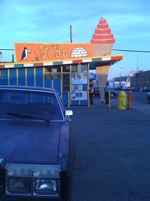 Burk's Igloo by null