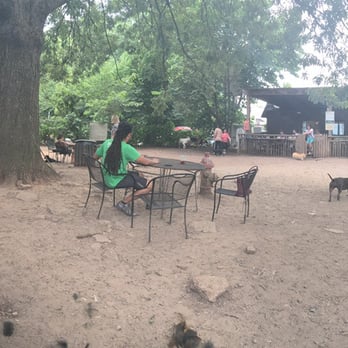 Parkgrounds Café | Specialty Coffee Atlanta - Decent-sized dog park with tables and benches for people. Also a patio separate from dogs for those who want outdoor seating without pups. - Coffee & Tea Near Me - Atlanta, Georgia Parkgrounds Café | Specialty Coffee Atlanta - Decent-sized dog park with tables and benches for people. Also a patio separate from dogs for those who want outdoor seating without pups. - Coffee & Tea Near Me - Atlanta, Georgia