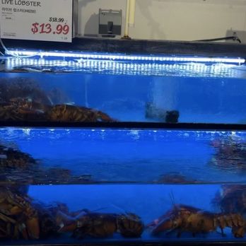 H Mart - Mesa - 2025, live lobster.... Price can't be beat! - Grocery Near Me - Mesa, Arizona