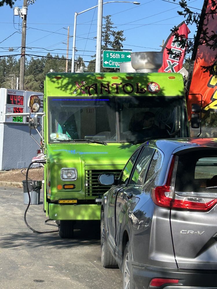 Xantolo Taqueria