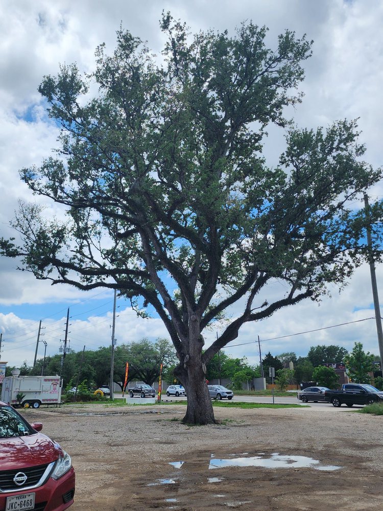 Ribs On Wheels Fort Bend County - O