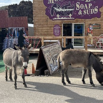 Town of Oatman - Local Flavor Near Me