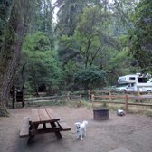 Samuel P Taylor State Park 2019 All You Need To Know Before You