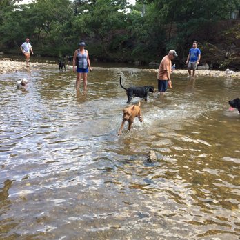 Shirlington Dog Park - Dog Parks Near Me - Arlington, Virginia Shirlington Dog Park - Dog Parks Near Me - Arlington, Virginia