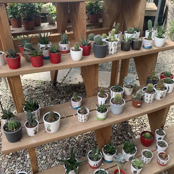 Kellner Greenhouses - Nurseries & Gardening Near Me - Milwaukee, Wisconsin