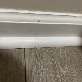 Empire Today - Holes in quarter round - Carpet Installation Near Me
