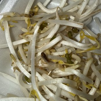 Bangkok Pad Thai - old bean sprouts - Thai Near Me - Lebanon, Tennessee Bangkok Pad Thai - old bean sprouts - Thai Near Me - Lebanon, Tennessee