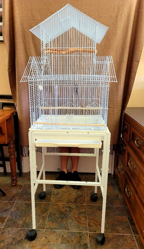 THE SHABBY HEN & THRIFTY FLEA THRIFT SHOPS Updated September 2024