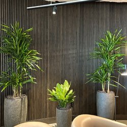 Interior Plant Design - Chico Marx