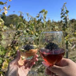 Salem Oak Vineyards