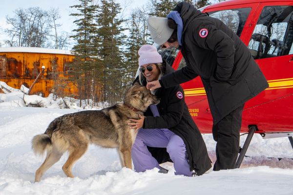 Outbound Heli Adventures | Alaska by null