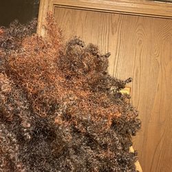 Natural Acuity - Before