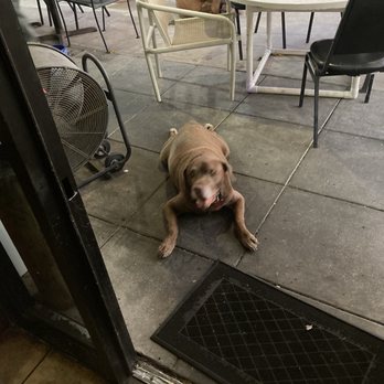 Fish On Fire - In a dive bar you must have a lazy dog chillin outside - Seafood Near Me - Orlando, Florida Fish On Fire - In a dive bar you must have a lazy dog chillin outside - Seafood Near Me - Orlando, Florida