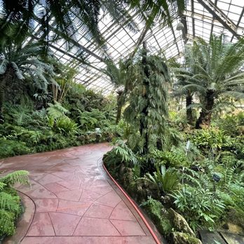 Lincoln Park Conservatory - Fern room - Parks Near Me - Chicago, Illinois