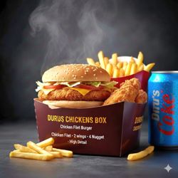 Duru's Kebab House - Chicken box