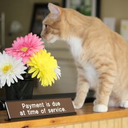 For Pet's Sake Veterinary Center - "Hank" takes a break to smell the flowers, as we all should daily!