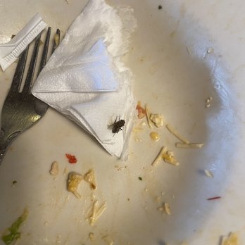 Oregano's - Dirty salad plate w/ dead fly wasn't cleared from our table for over 35 mins! - Pizza Near Me - Tucson, Arizona
