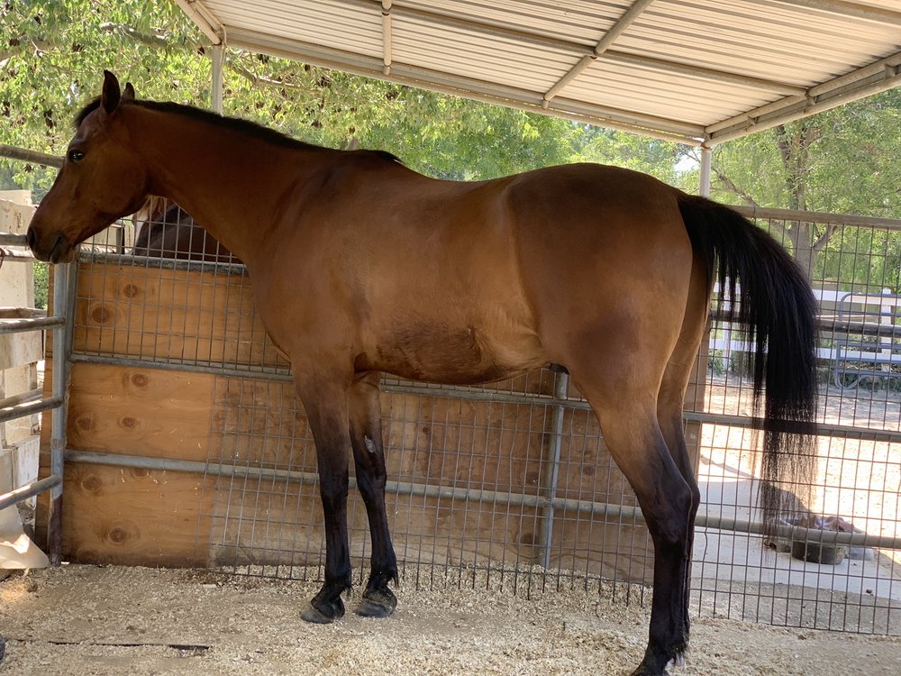 SONGBIRD TERRACE Updated August 2024 33 Photos & 11 Reviews 6390