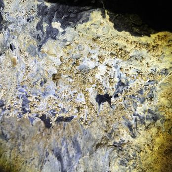 Kula Kai Caverns - Textured lava tube pic - Tours Near Me Kula Kai Caverns - Textured lava tube pic - Tours Near Me
