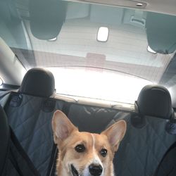 Tesla Supercharger - Copilot