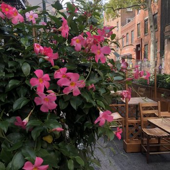 Palma - Italian Near Me - New York, New York Palma - Italian Near Me - New York, New York