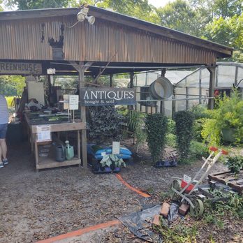 Hogg Greenhouse - Got it all - Farmers Market Near Me - Simpsonville, South Carolina Hogg Greenhouse - Got it all - Farmers Market Near Me - Simpsonville, South Carolina