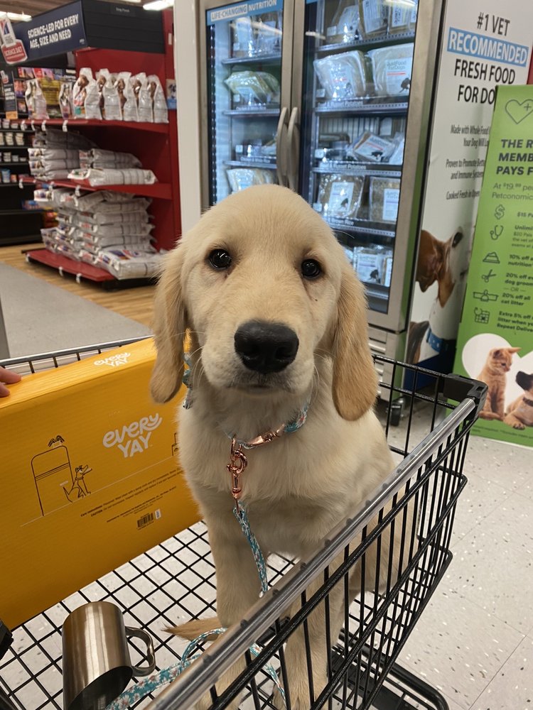 PETCO 34 Photos & 69 Reviews 4167 Cheshire Station Plz, Dale City
