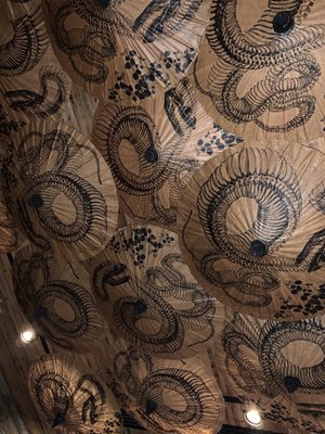 Mandrake Miami by null