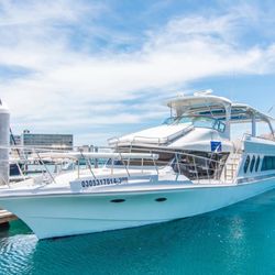 Carlos Yacht Charters and Cabo Activities