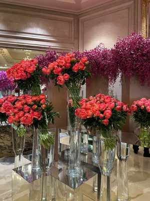 L'Orangerie by null