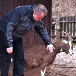Alternativer Bärenpark Worbis