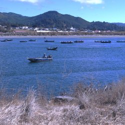 Gold Beach - Salmon fishing in the bay August 2026