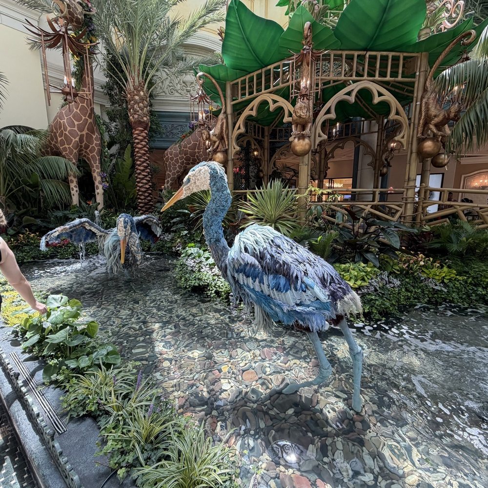 Bellagio - Hotels Near Me - Las Vegas, Nevada Bellagio - Hotels Near Me - Las Vegas, Nevada
